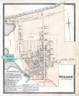 Wilson, Niagara and Orleans County 1875